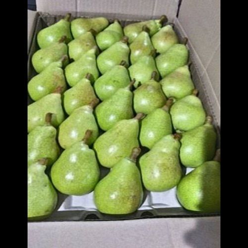 100% Organic Farm Fresh A Grade Green Forelle (Packham) Origin: India