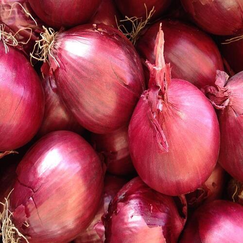 Chemical Free Enhance The Flavor Rich Healthy Natural Taste Fresh Red Onion