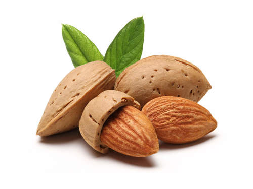 Chemical Free Natural Almond Nuts