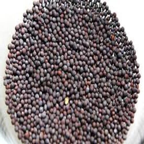 Healthy Natural Rich Fine Taste Chemical Free Black Mustard Seeds
