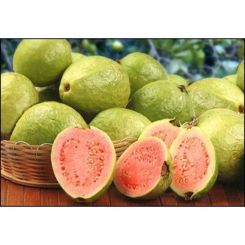 Purity 100 Percent Chemical Free Fine Sweet Delicious Rich Natural Taste Healthy Organic Fresh Guava