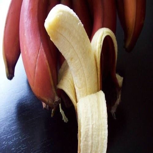 Purity 100 Percent No Preservatives Rich Natural Taste Healthy Fresh Red Banana Origin: India