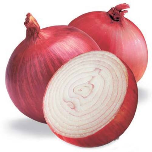 Round & Oval Enhance The Flavor Chemical Free Rich Healthy Natural Taste Organic Fresh Red Onion