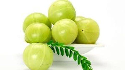 Common Farm Fresh Indian Gooseberry Green Amla With Antioxidants Properties, 20Kg Bag