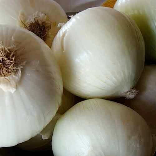 Round & Oval Chemical Free Enhance The Flavor Rich Natural Taste Fresh White Onion