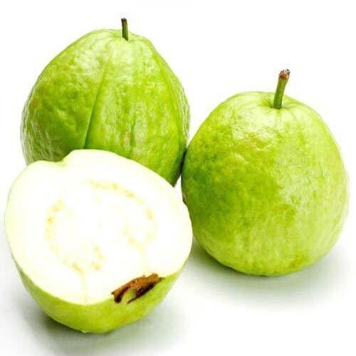 No Added Preservatives Sweet Delicious Natural Taste Green Fresh Guava Origin: India