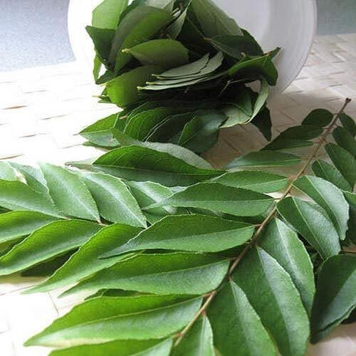 No Artificial Color Nice Fragrance Rich Natural Taste Green Fresh Curry Leaves