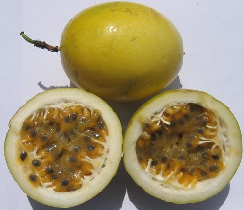 Passion Fruit