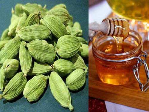 Organic Cardamom Honey - 100% Pure Thick Liquid, Smooth Texture , Improves Metabolism and Memory