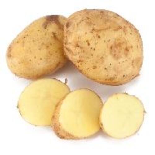 Round & Oval Chemical Free Mild Flavor Rich Natural Taste Brown Organic Fresh Potato