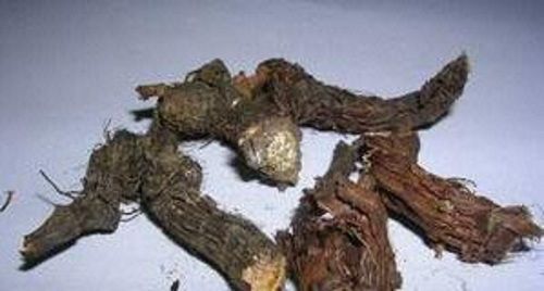 Cypriol Root Steam Distilled Essential Oil For Perfumery, Soaps And Incense Sticks