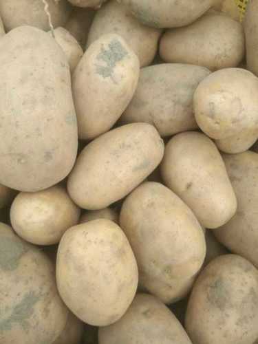 Easy To Digest No Artificial Color Rich Aroma Easy To Cook Indian Fresh Brown Potato