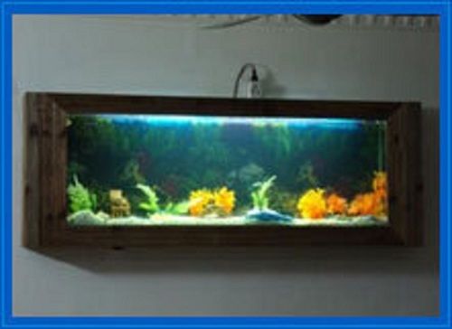 Glass Aquariums, Healthy Environment for Fish, without the need for Harsh Chemicals