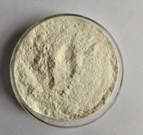 Guar Gum, E412 (Cas No.9000-30-0)