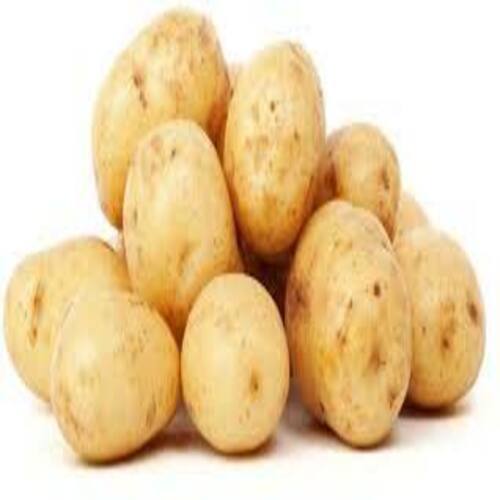 Fresh Potato - Brown, Round & Oval, Raw | Chemical Free, Naturally Delicious, Safe Packaging, Ideal for Cooking