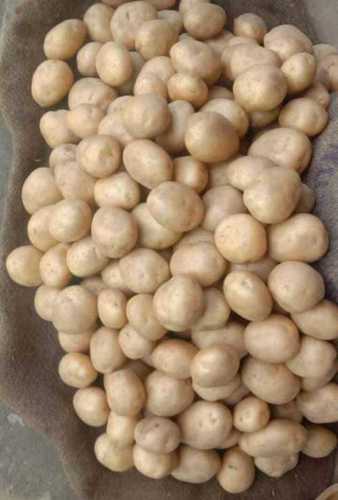 No Artificial Color Rich Aroma High Nutritional Small Size Brown Fresh Potato Moisture (%): 75%