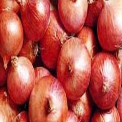 Round & Oval Enhance The Flavor Rich Healthy Natural Taste Fresh Red Onion