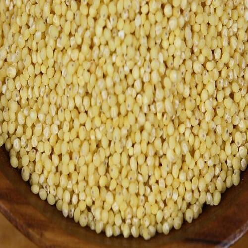 Long Shelf Life Healthy Natural Rich Fine Taste Dried Organic Pearl Millet