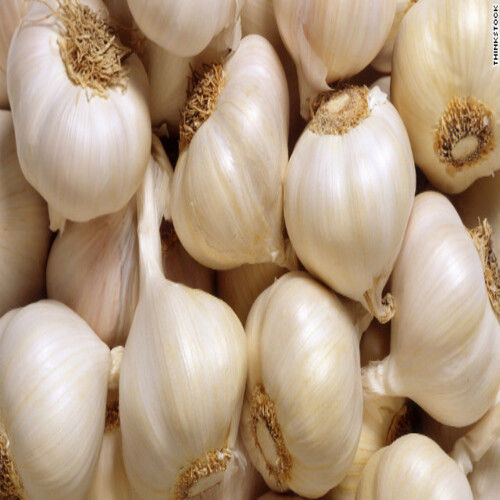 Fresh Garlic - Solid White, Natural Taste, No Artificial Color, Chemical Free, Safe Packaging