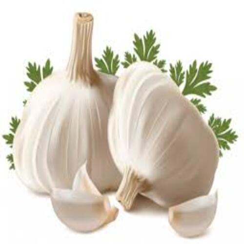 Fresh Garlic - Organic, 60-65% Vitamin B-6, 20-25% Calcium | No Artificial Color, Chemical Free, Natural Taste, Safe Packaging