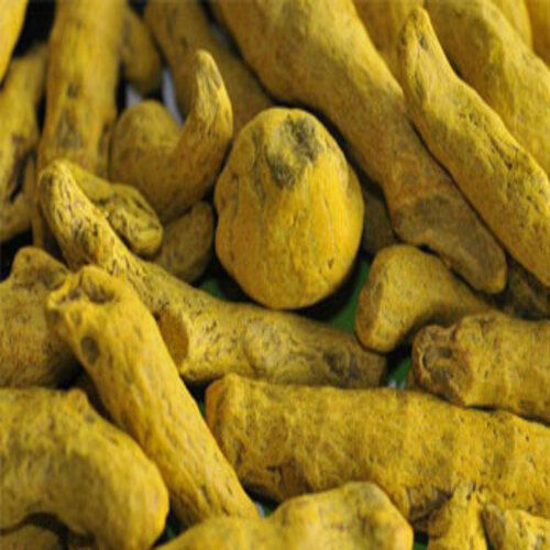 Antioxidant Chemical Free Rich Natural Taste Healthy Dried Yellow Turmeric Finger