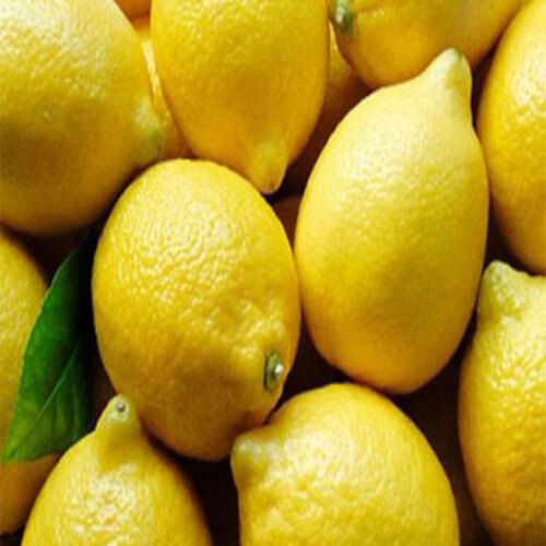 Round & Oval Easy To Digest Sour Natural Taste Healthy Yellow Organic Fresh Lemon