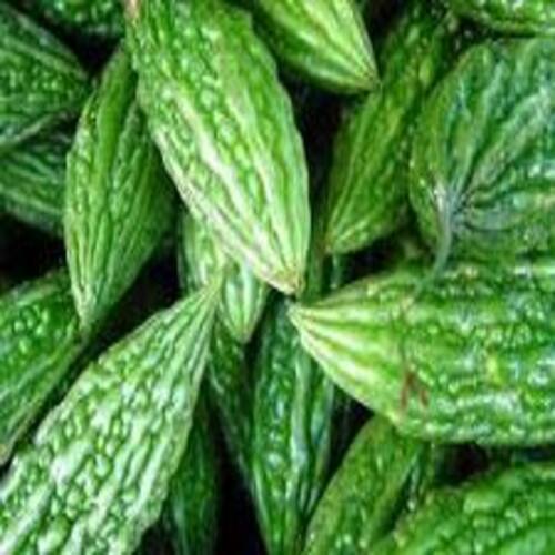  Flory Texture स्वस्थ प्राकृतिक समृद्ध स्वाद हरा ताजा करेला