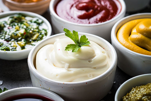 Mayonnaise, Dips, Salsas And Spread Seasoning For Hotel, Restaurant And Shops