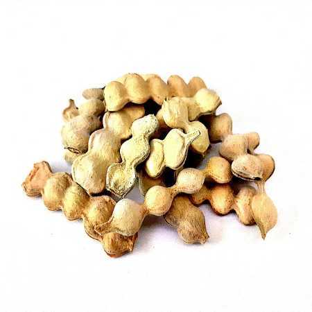 100% Vachellia Nilotica Dried Babool Fali For Traditional Ayurvedic Medicines