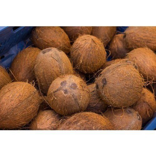 A Grade, Organic and Gluten Free Husked Coconut with Dietary Fiber, Minerals, Vitamins, and Antioxidants