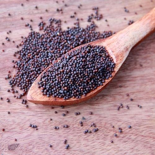 Black Colour 100% Pure Whole Mustard Seeds without Added Artificial Color