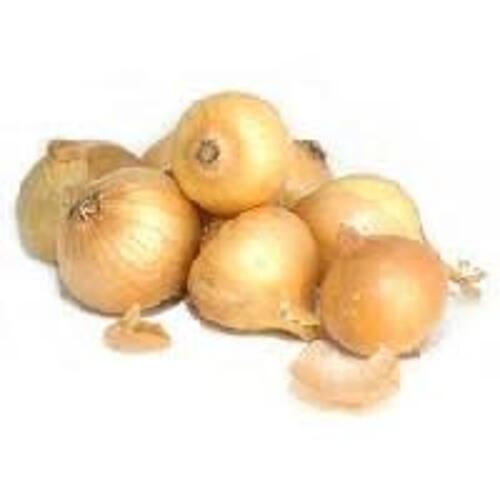 Enhance The Flavor Rich Healthy Natural Taste Fresh Yellow Onion