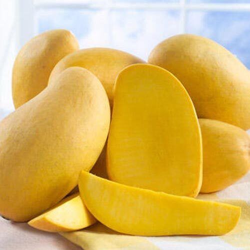 No Artificial Color Sweet Delicious Rich Natural Taste Healthy Yellow Fresh Mango