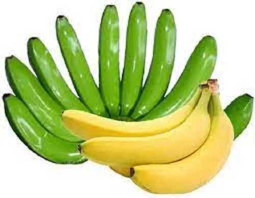 Fresh Cavendish Green Colour Banana For Human Consumption, Cooking