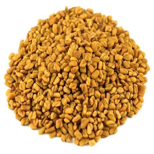 No Artificial Color Chemical Free Natural Rich Taste Dried Fenugreek Seeds