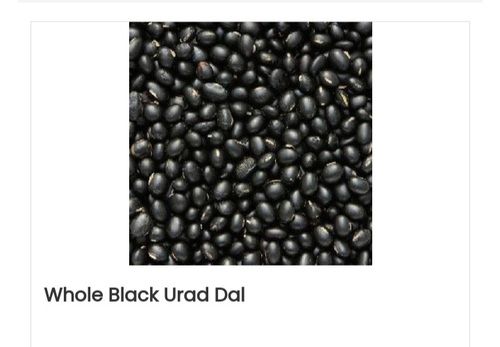 100% Natural and Organic Whole Black Urad Dal with Excellent Aroma