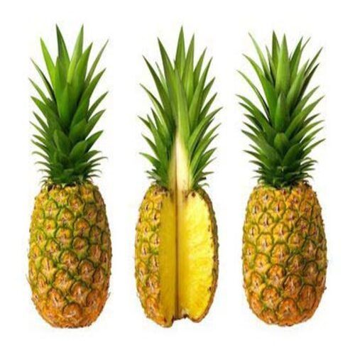 Antioxidants Chemical Free Juicy Rich Delicious Taste Healthy Organic Fresh Pineapple