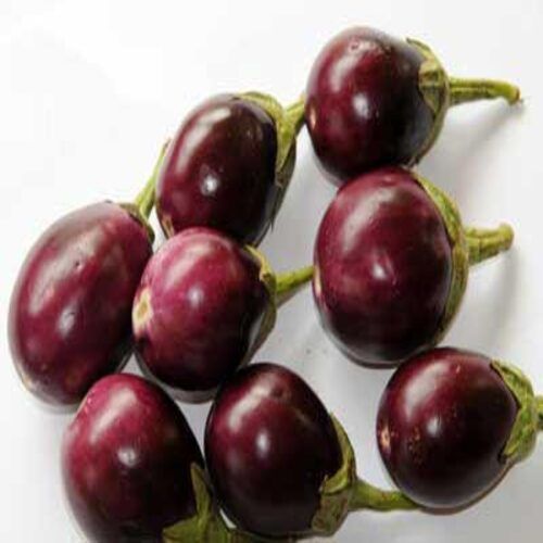 Chemical Free Healthy Delicious Natural Rich Fine Taste Organic Purple Fresh Brinjal
