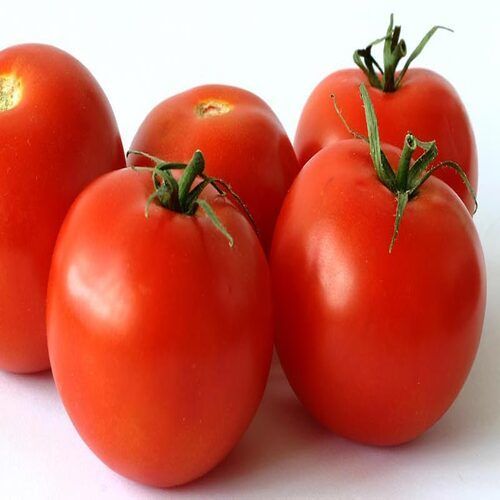 Chemical Free Mild Flavor Healthy Natural Taste Organic Red Fresh Tomato