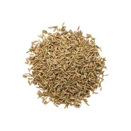 Cumin seeds