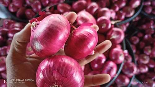 Fresh Red Onion