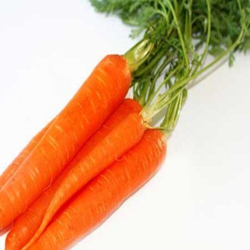 High Fiber Healthy Natural Rich Taste Organic Orange Fresh Carrot