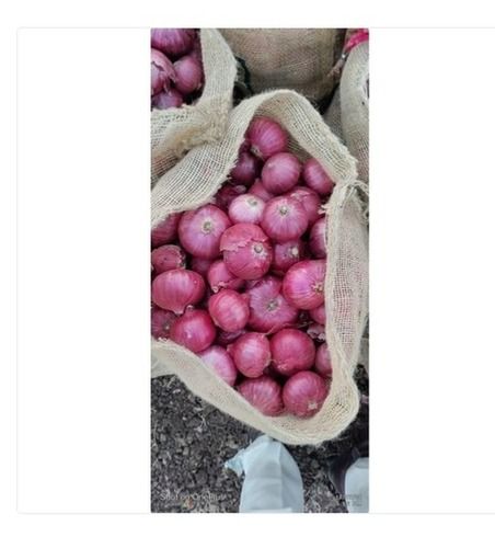 A Grade Maharashtra Export Quality Red Onion With Help In Vitamin C And Sulfur