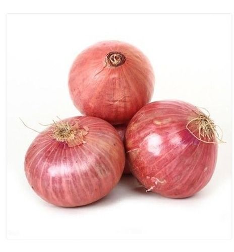 Antioxidant Properties A Grade Maharashtra Natural Fresh Pink Onion For Human Consumption Moisture (%): 63%