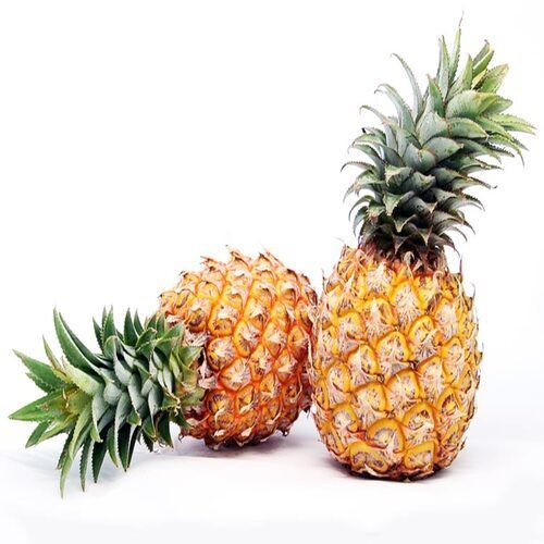 Antioxidants Chemical Free Juicy Rich Delicious Taste Healthy Fresh Pineapple Origin: India