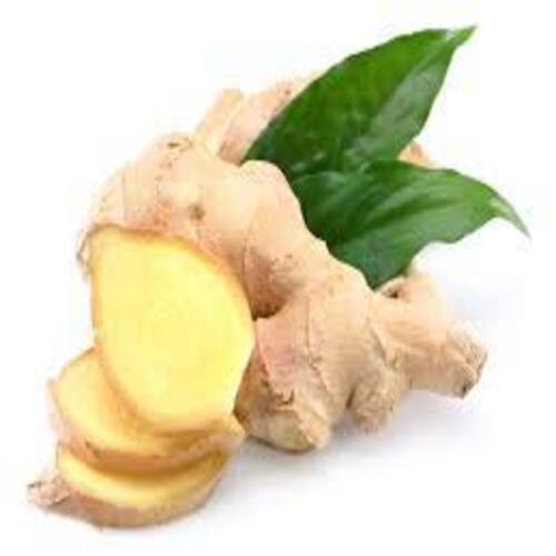 Elognated Fine Rich Healthy Natural Taste Chemical Free Brown Fresh Ginger