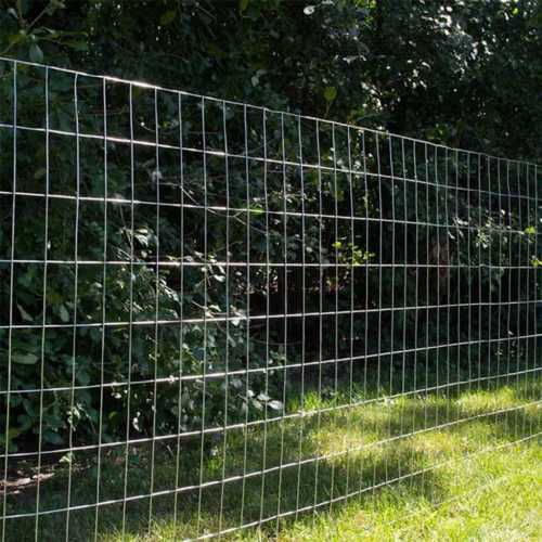 Gi Wire Mesh