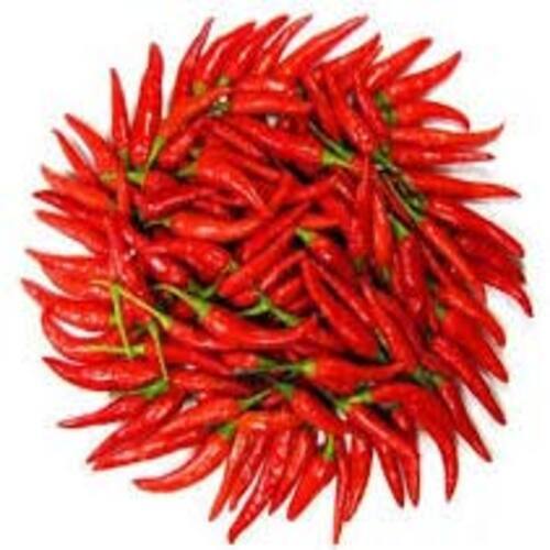 Solid Whole Spice Hot Spicy Natural Taste No Artificial Color Fresh Red Chilli