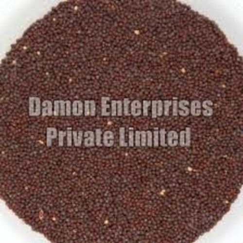 Brown Mustard Seeds - Mustard Variety, Chemical Free, Natural Taste, Safe Packaging, Ideal for Cooking, Human Consumption