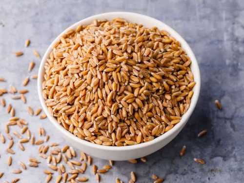 High in Protein Gluten Free Organic Dried Wheat Grain Good For Health